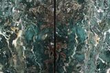 Green & White Jasper Replaced Petrified Wood Bookends - Oregon #123462-2